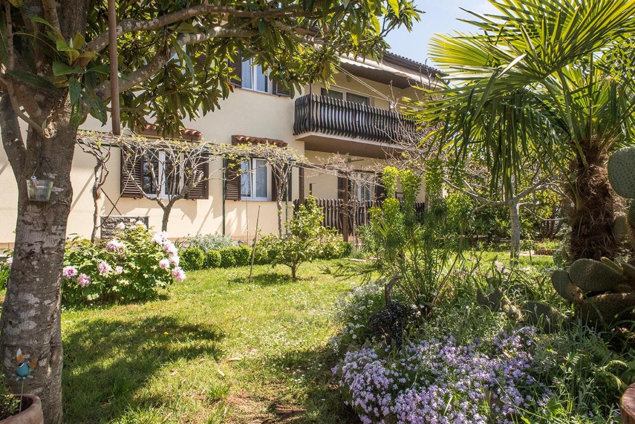 Apartment Lori Fažana Buitenkant foto